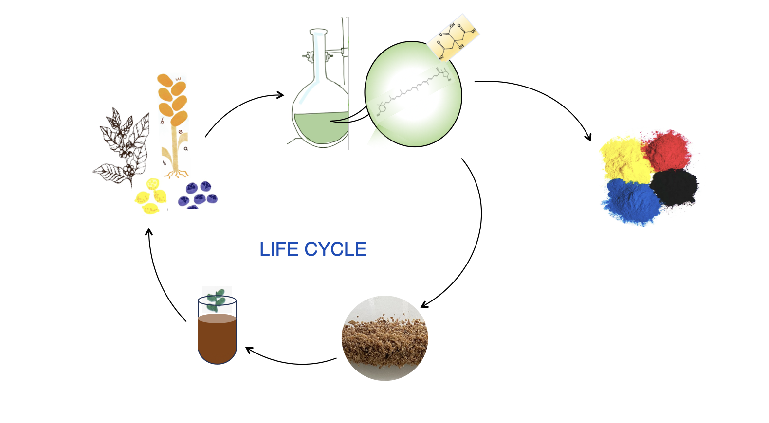 Trusted by global partners